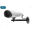 Caméra de surveillance factice avec voyant lumineux Avidsen-100350