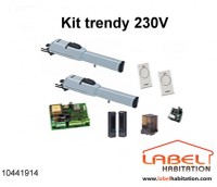 Motorisation pour portail 2 battants FAAC Trendy Kit 10441914