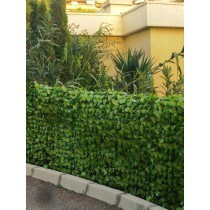 Haie Artificielle Feuilles de Rosier 3m x 1m – JET7 GARDEN